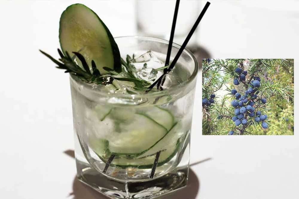 Zašto je zdravo popiti čašicu džina?