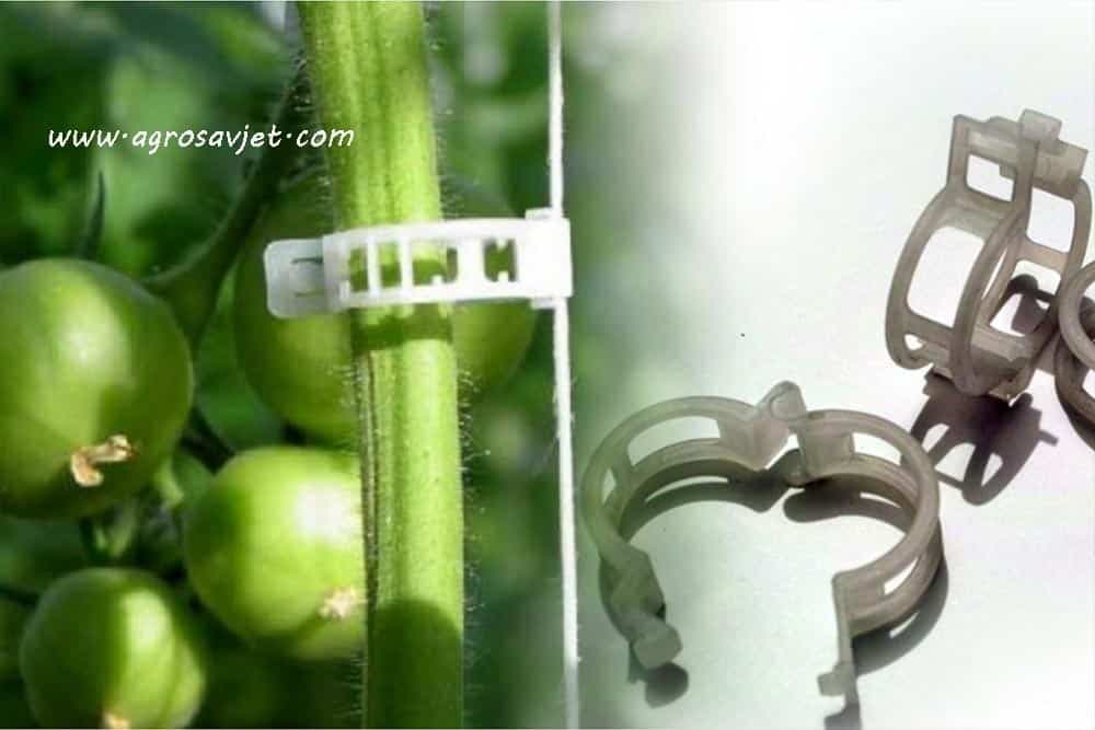 Pomoćni elementi za povrće visokog rasta!