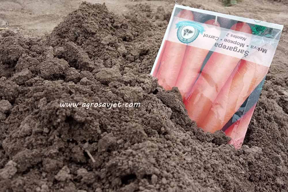 Proizvodnja mrkve