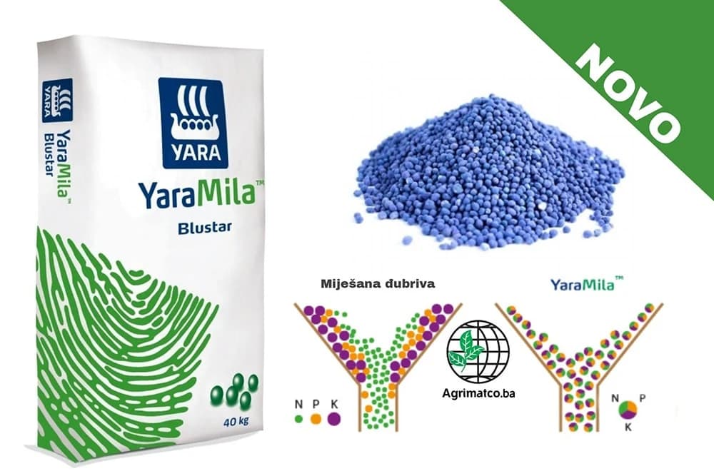 YaraMila Blustar