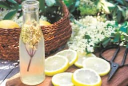 Probajte "šampanjac" od zove po receptu travara