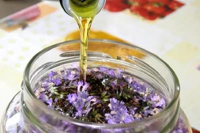 Recept za ulje protiv bolova - Lavanda, kamfor i maslinovo ulje
