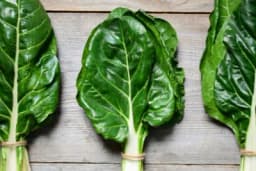 Hladna salata od blitve za vrele dane koji stižu