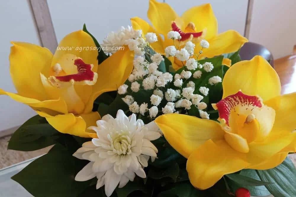 Poklanjanje cvijeća