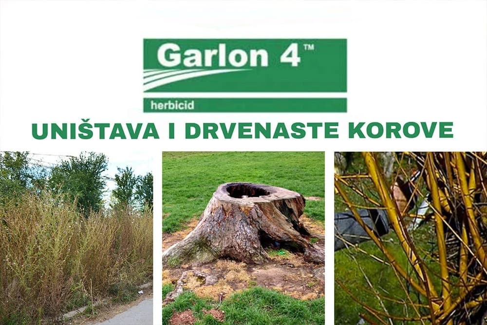 GARLON - Preparat koji uništava drvenaste i poludrvenaste KOROVE