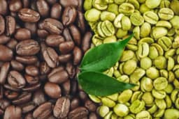 Ljekovito djelovanje kafe /RECEPTI/