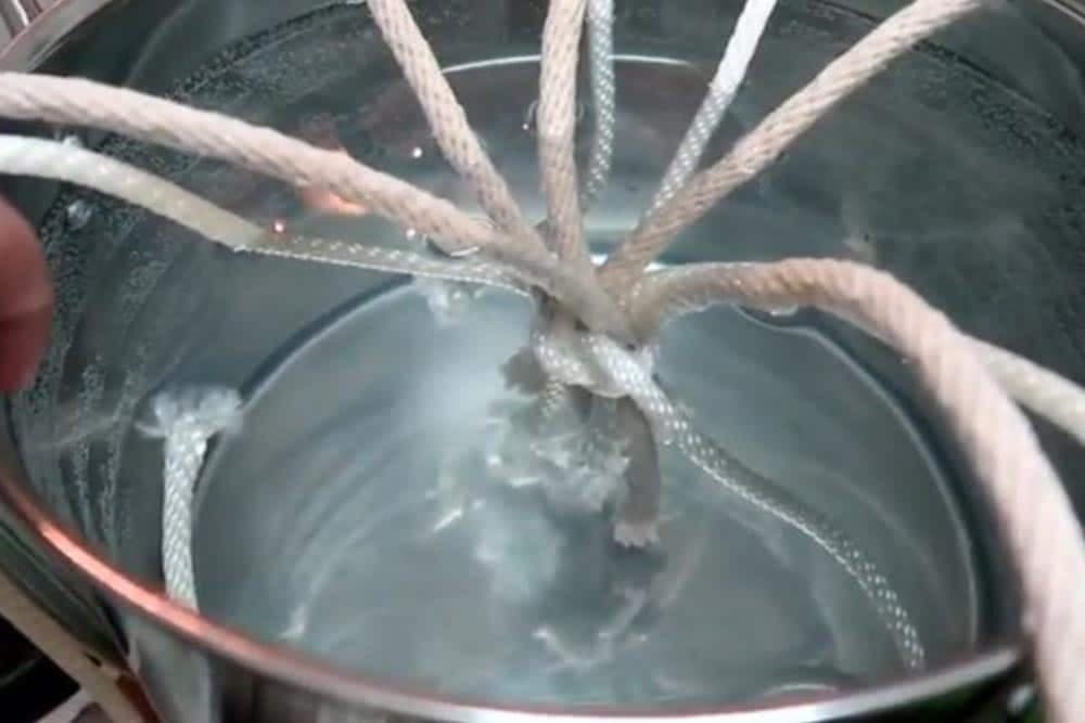 Zalivanje biljaka za vrijeme odmora