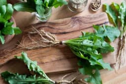 5 biljaka za sezonsko čišćenje jetre