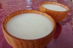 KUMIS - Najbolji ruski lijek za bolje varenje i rad jetre