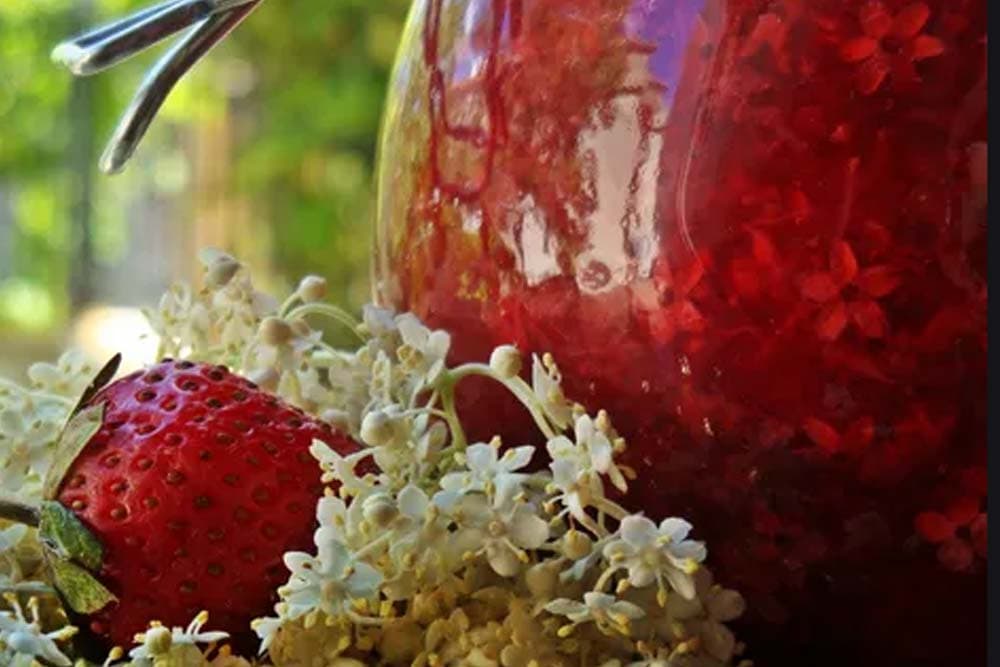 Liker od zove i jagode