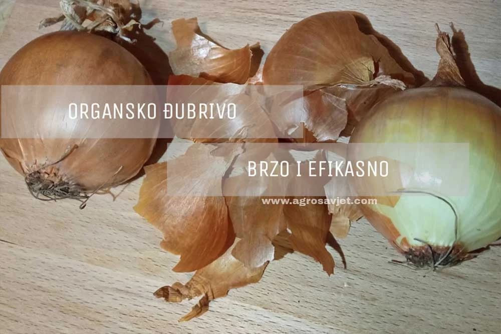 Đubrivo od ljuski luka