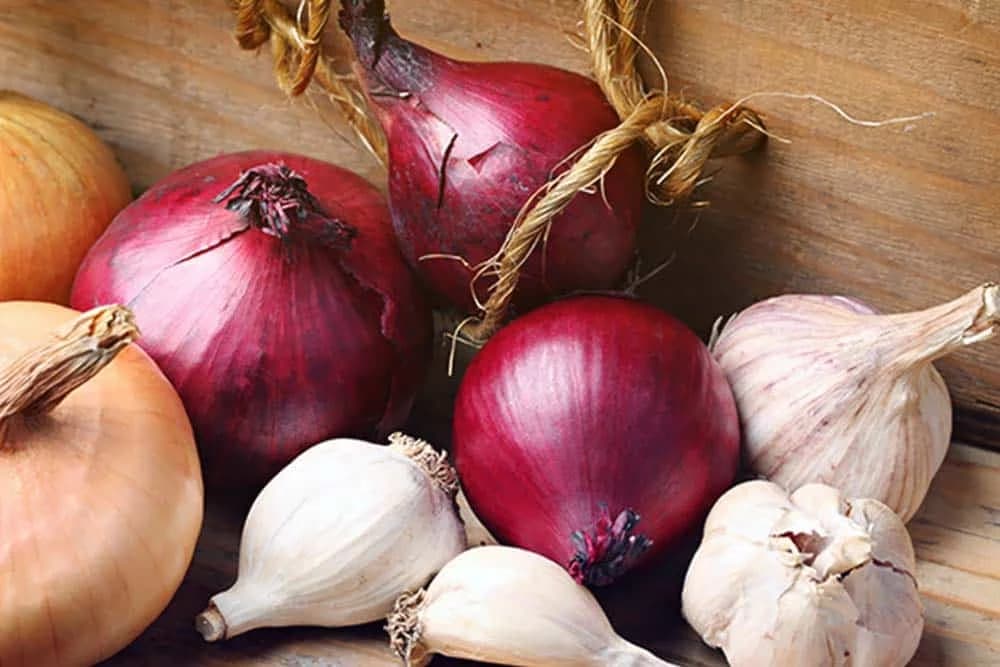 Bioinsekticid od luka