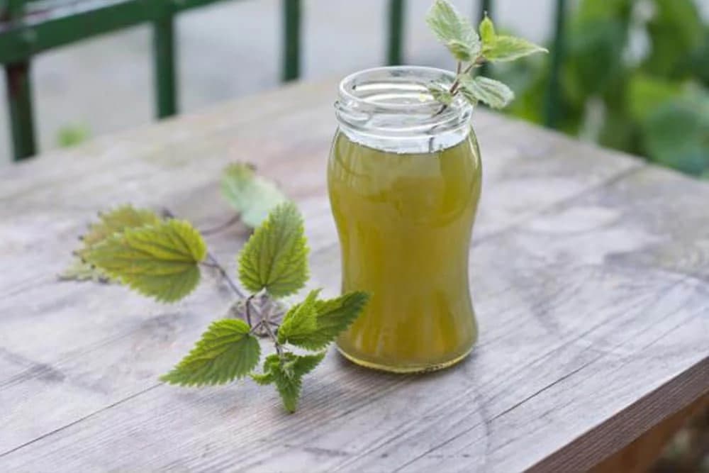 sirup od koprive