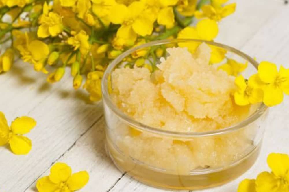 MED OD ULJANE REPICE