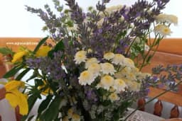 Savjeti uz koje će cvijeće u vazi duže trajati