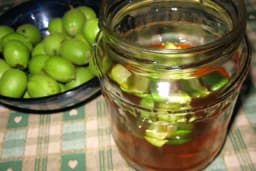 SIRUP OD ZELENOG ORAHA I MEDA - Poboljšava rad štitne žlijezde, porčišćava jetru, a rješava i mnoge druge tegobe