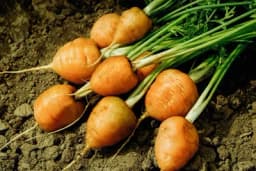 Korisni savjeti - Ovo je najbolji način za pripremu korjenastog povrća