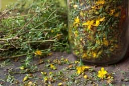 Prirodni lijek za bolove u nogama i proširene vene