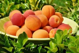 Evo šta se dešava u tijelu kada jedete samo DVIJE KAJSIJE dnevno!