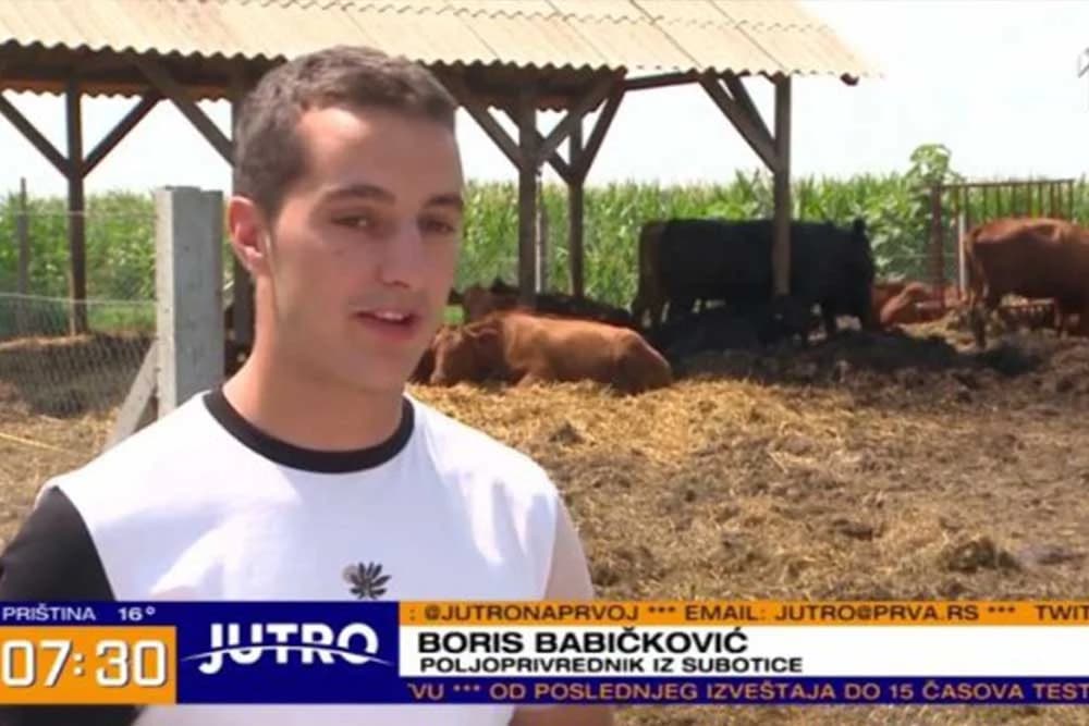 Boris Babičković