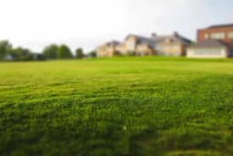 Ako želite travnjak nema idealnijeg trenutka za sijanje trave