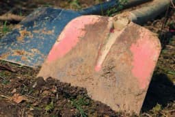 Šta raditi u bašti kada je zemlja mokra?