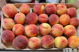 Kako su naše bake čuvale BRESKVE - Ovakav način pakovanja održava svježinu voća