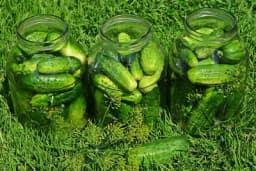 Recept za kisele krastavce bez konzervansa