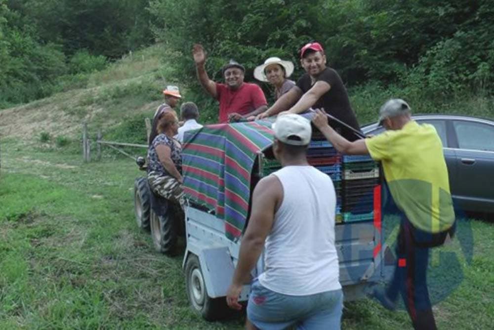 Za vrijedne malinare besplatno ljetovanje u Grčkoj