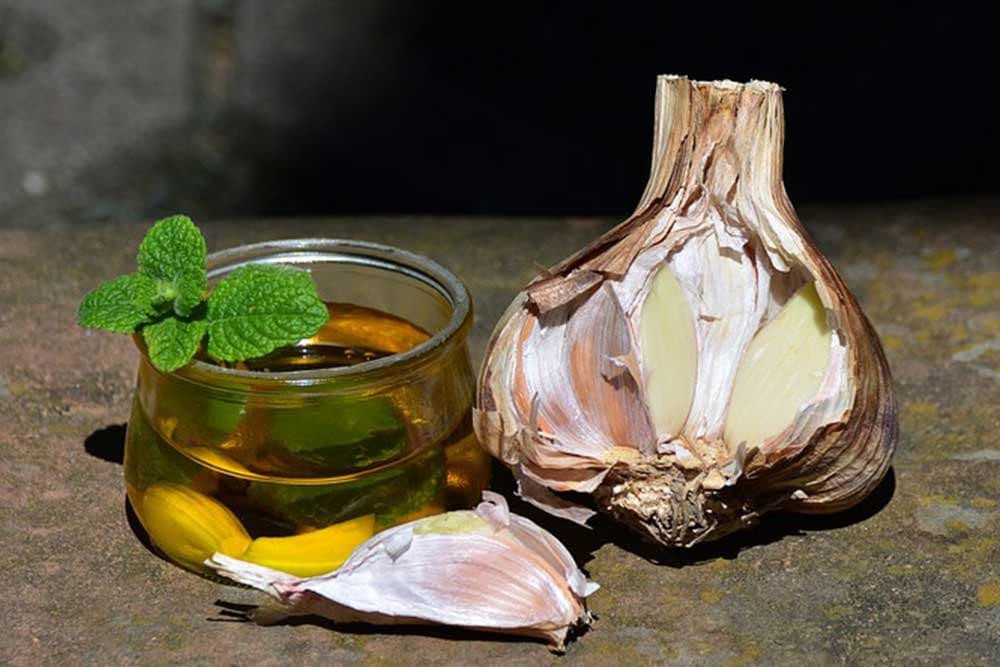 ulje bijelog luka