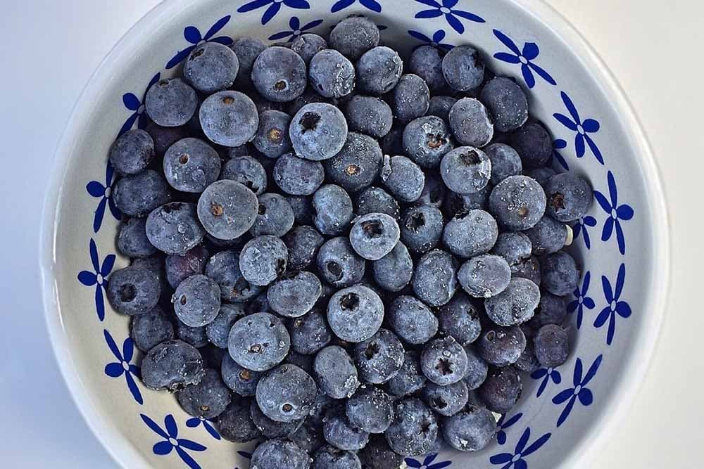 zamrzanute borovnice