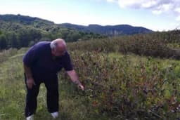 Aronija iz Novog Grada na prvom sajmu organskih proizvoda