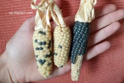 Sve što niste znali o kukuruzu i kokicama