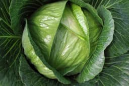 Ovo povrće će biti ukusnije poslije djelovanja mraza