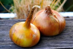 Primjena ljuski od luka