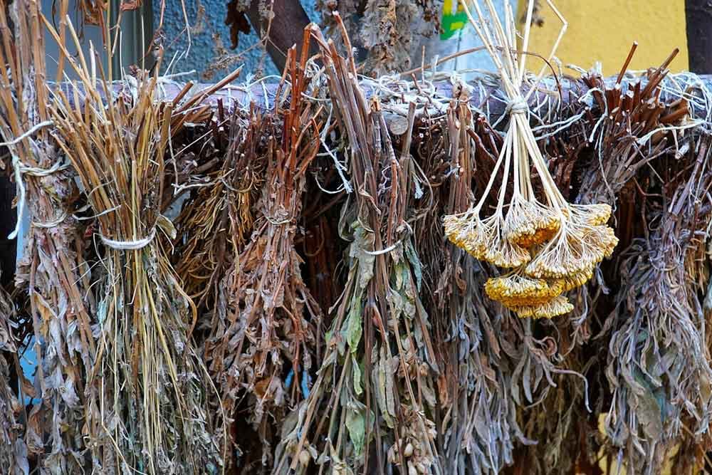 Sedam ruskih čajeva, obloga i tinktura za meteoropate