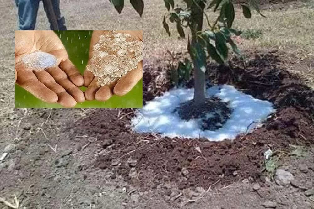 voda u prahu