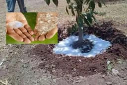 Voda u prahu - Izum koji bi se mogao boriti protiv suše širom planete!