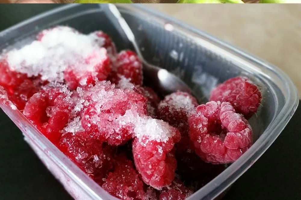 ZAMRZNUTE MALINE