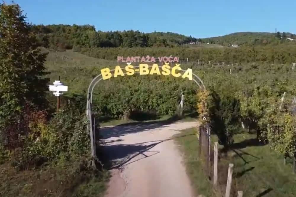baš bašča