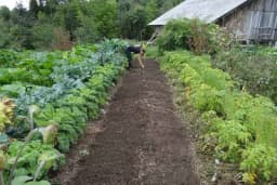 Kako odabrati najbolje mjesto za baštu i kako je organizovati