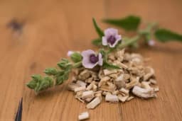 Korijen jedne biljke pomaže kod izbacivanja šlajma