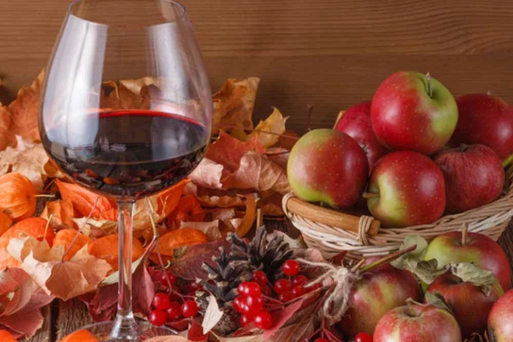 biljna vina