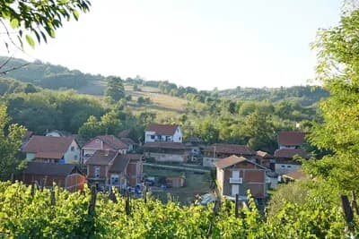 Najneobičnije selo u Srbiji - "srpsku Kaliforniju" spasavaju mladi koji ostaju