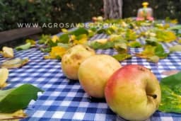 Banka sjemena Kragujevac - Zdravlje na usta ulazi