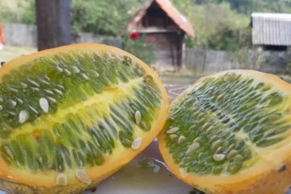 kiwano