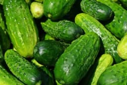 Procvjetao izvoz kornišona iz BiH