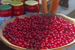 Brendiran drvarski mućeni pekmez od drenjine