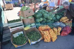 Kupci ne odustaju od papreno skupog kupusa