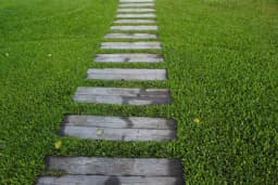 Lijepo dvorište zahtjeva i jesensko zalivanje - Evo zašto, kada i kako to činiti